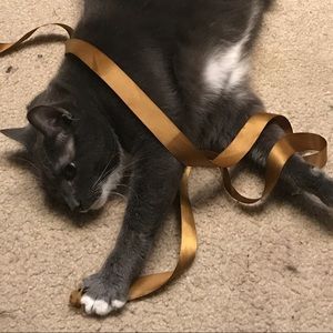 Meet your Posher, Damian